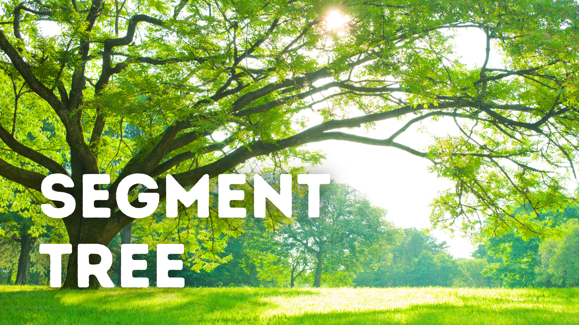 All you need to know about Segment Tree in Programming