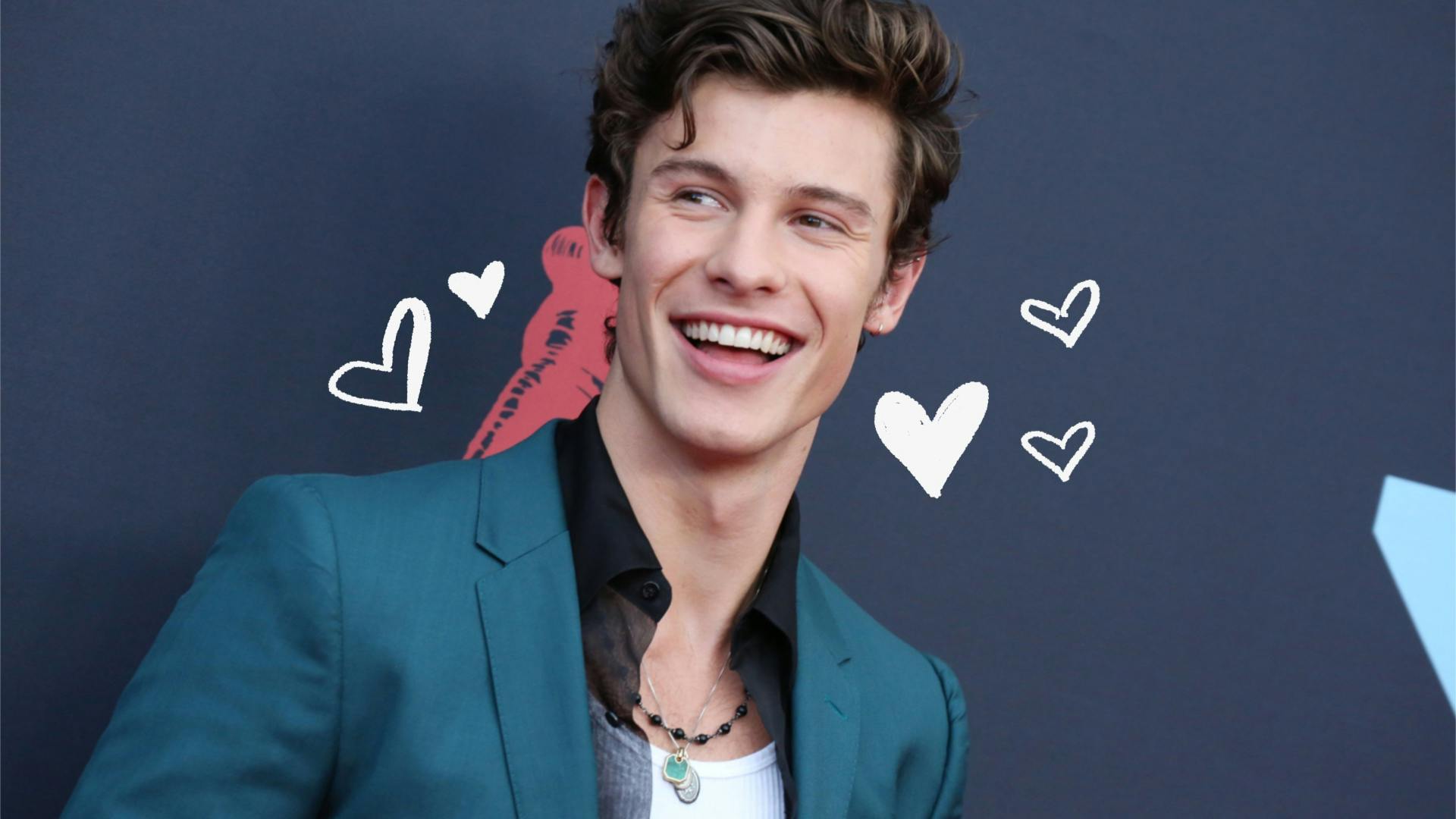 Shawn Mendes Shared His Number With Fans to Personally Text Him