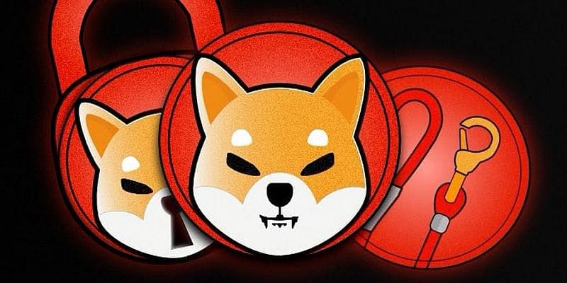 3 Reasons why you should buy Shiba Inu Coin Today
